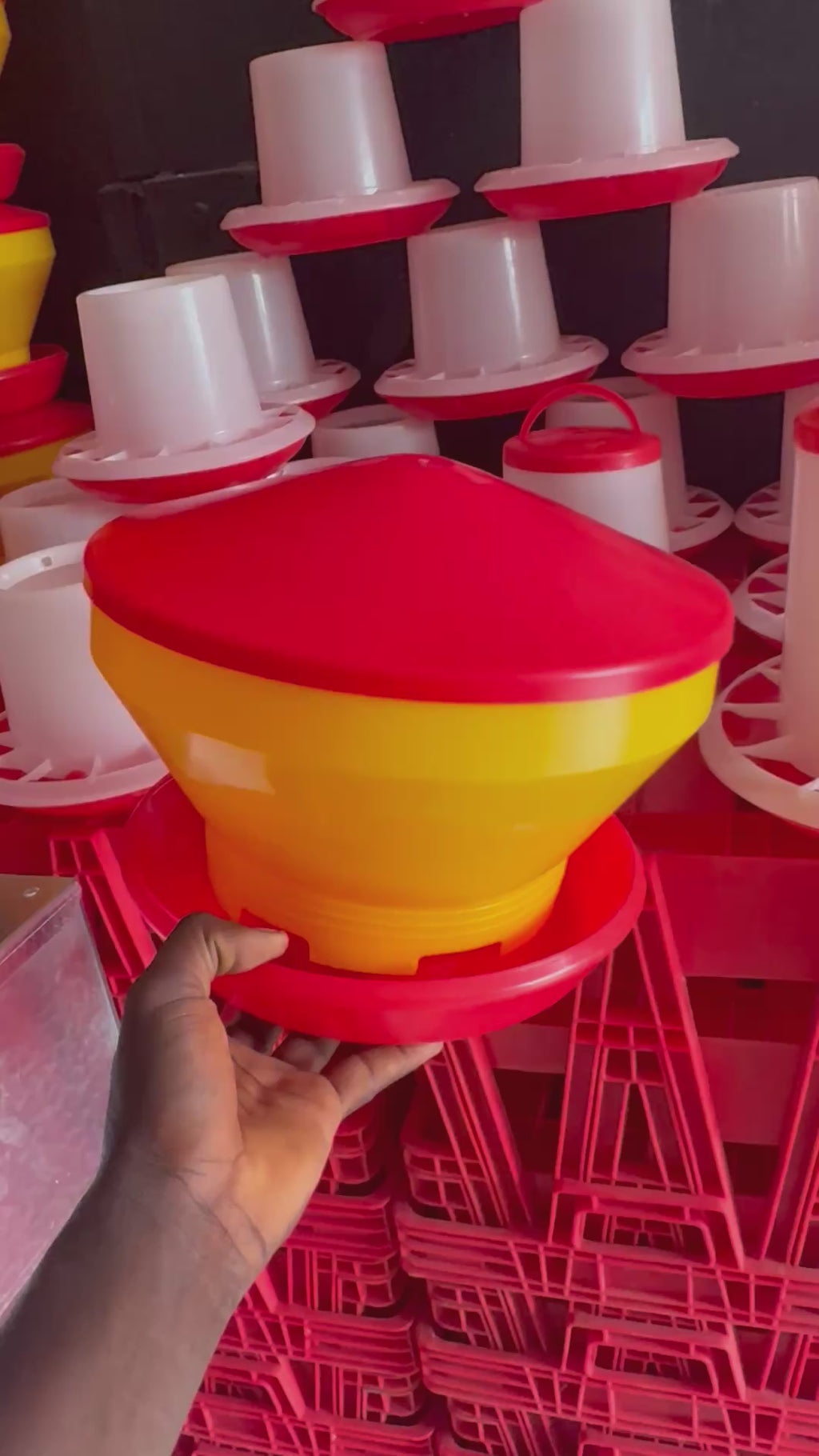 MANGEOIRE JAUNE ROUGE)5kg)
